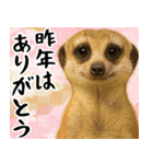 動物園のあけおめスタンプ（個別スタンプ：15）