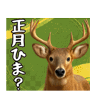 動物園のあけおめスタンプ（個別スタンプ：18）