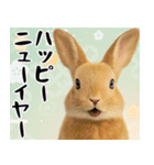 動物園のあけおめスタンプ（個別スタンプ：21）