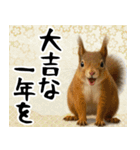 動物園のあけおめスタンプ（個別スタンプ：22）