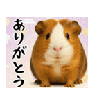 動物園のあけおめスタンプ（個別スタンプ：23）