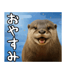 動物園のあけおめスタンプ（個別スタンプ：24）