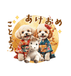 午年2026年！プードルとうまの年末年始（個別スタンプ：8）