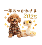 午年2026年！プードルとうまの年末年始（個別スタンプ：14）