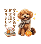 午年2026年！プードルとうまの年末年始（個別スタンプ：17）