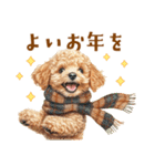 午年2026年！プードルとうまの年末年始（個別スタンプ：19）