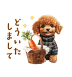 午年2026年！プードルとうまの年末年始（個別スタンプ：30）