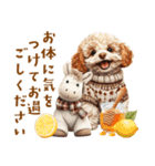 午年2026年！プードルとうまの年末年始（個別スタンプ：34）