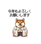 2026 あけおめ太っちょ柴犬 和服 着物で（個別スタンプ：3）