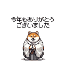 2026 あけおめ太っちょ柴犬 和服 着物で（個別スタンプ：5）