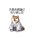2026 あけおめ太っちょ柴犬 和服 着物で（個別スタンプ：13）