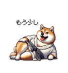 2026 あけおめ太っちょ柴犬 和服 着物で（個別スタンプ：18）