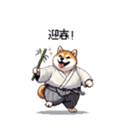 2026 あけおめ太っちょ柴犬 和服 着物で（個別スタンプ：19）