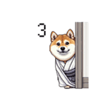 2026 あけおめ太っちょ柴犬 和服 着物で（個別スタンプ：25）