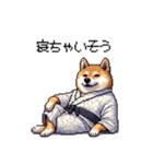 2026 あけおめ太っちょ柴犬 和服 着物で（個別スタンプ：31）