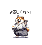 2026 あけおめ太っちょ柴犬 和服 着物で（個別スタンプ：33）