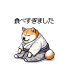 2026 あけおめ太っちょ柴犬 和服 着物で（個別スタンプ：36）