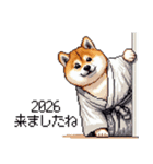 2026 あけおめ太っちょ柴犬 和服 着物で（個別スタンプ：37）