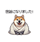 2026 あけおめ太っちょ柴犬 和服 着物で（個別スタンプ：40）
