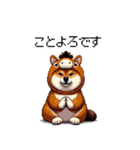 午年太っちょ柴犬 2026 うま年（個別スタンプ：3）