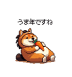午年太っちょ柴犬 2026 うま年（個別スタンプ：5）