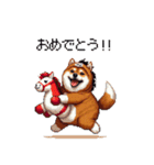 午年太っちょ柴犬 2026 うま年（個別スタンプ：6）