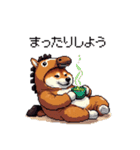 午年太っちょ柴犬 2026 うま年（個別スタンプ：8）