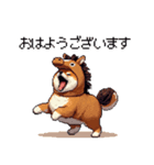 午年太っちょ柴犬 2026 うま年（個別スタンプ：12）