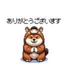 午年太っちょ柴犬 2026 うま年（個別スタンプ：13）
