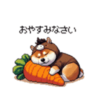 午年太っちょ柴犬 2026 うま年（個別スタンプ：14）