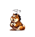 午年太っちょ柴犬 2026 うま年（個別スタンプ：15）