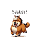 午年太っちょ柴犬 2026 うま年（個別スタンプ：22）