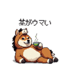 午年太っちょ柴犬 2026 うま年（個別スタンプ：24）