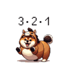 午年太っちょ柴犬 2026 うま年（個別スタンプ：25）