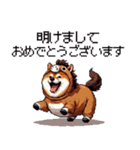 午年太っちょ柴犬 2026 うま年（個別スタンプ：26）