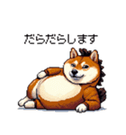 午年太っちょ柴犬 2026 うま年（個別スタンプ：27）