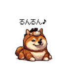 午年太っちょ柴犬 2026 うま年（個別スタンプ：28）