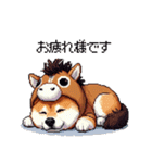 午年太っちょ柴犬 2026 うま年（個別スタンプ：30）