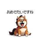 午年太っちょ柴犬 2026 うま年（個別スタンプ：34）
