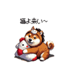 午年太っちょ柴犬 2026 うま年（個別スタンプ：35）