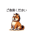 午年太っちょ柴犬 2026 うま年（個別スタンプ：37）