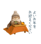 2026正月を祝うねこ【元旦・かわいい】（個別スタンプ：3）