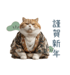 2026正月を祝うねこ【元旦・かわいい】（個別スタンプ：6）