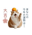 2026正月を祝うねこ【元旦・かわいい】（個別スタンプ：8）