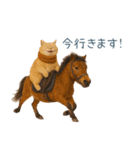 2026正月を祝うねこ【元旦・かわいい】（個別スタンプ：9）