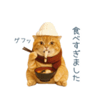 2026正月を祝うねこ【元旦・かわいい】（個別スタンプ：12）