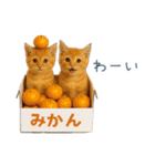 2026正月を祝うねこ【元旦・かわいい】（個別スタンプ：15）