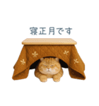 2026正月を祝うねこ【元旦・かわいい】（個別スタンプ：17）