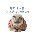 2026正月を祝うねこ【元旦・かわいい】（個別スタンプ：19）