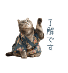 2026正月を祝うねこ【元旦・かわいい】（個別スタンプ：27）